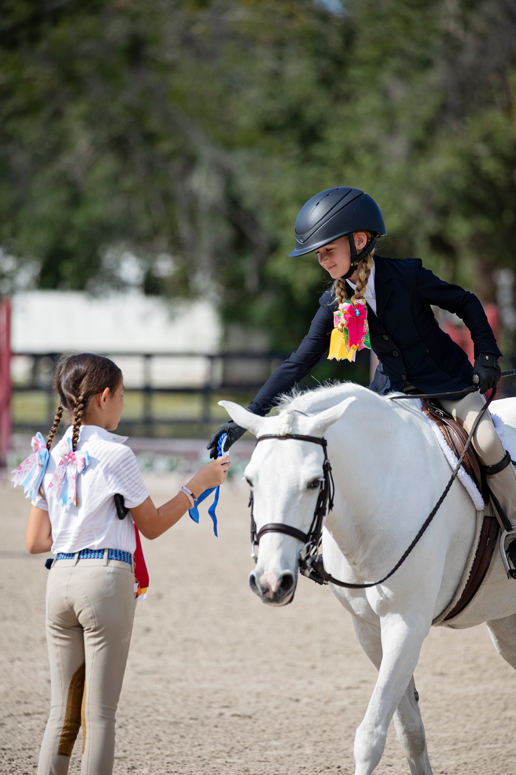 Chjf Join the Central Florida Hunter Jumper Association